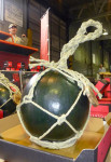 Black Watermelon “Densuke” was sold $3,200 in the year’s first watermelon auction