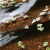 KOYOH Co., LTD. - Eco-Bio Block Creates Clear Water by Natto (Fermented Soybean) Bacillus - Image 2