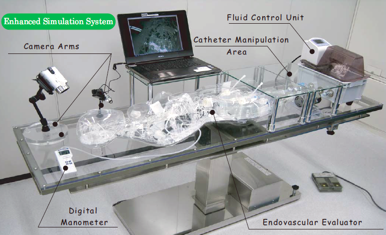 FAIN-Biomedical Inc. - Enhanced Simulation System