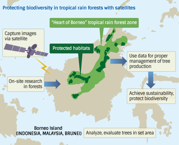 Nikkei - Rain Forest Evaluation System
