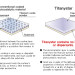 YIELD Co., Ltd. - Titanystar - Comparison between other photocatalytic materials