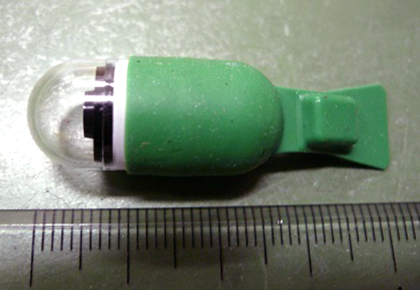 New MiniMermaid Self-propelling Capsule Endoscopy