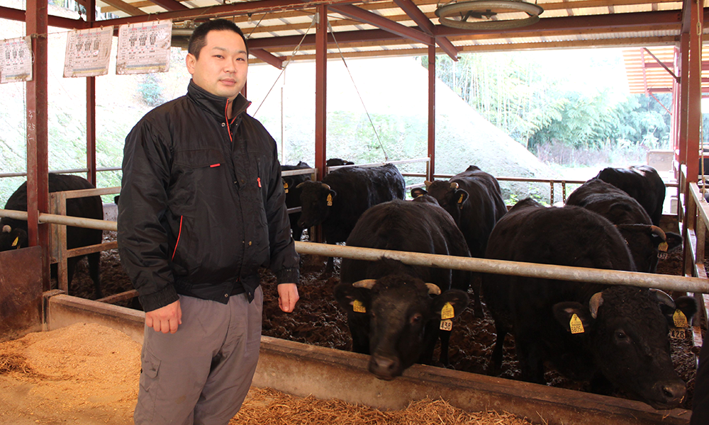 Wagyu Beef Supplier Kobe Isoda Farm