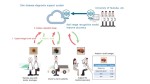 Skin disease diagnostic support system and potential applications