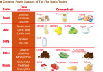 Common Foods Sources of The Five Basic Tastes