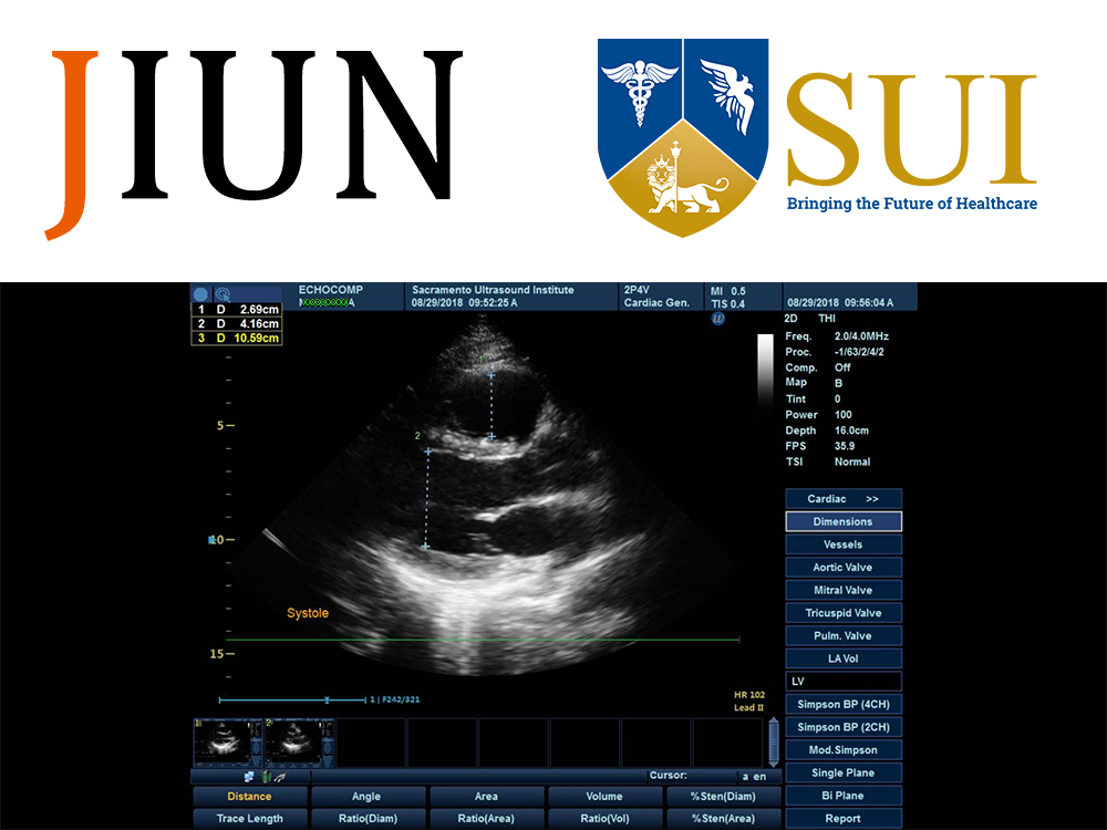 Sacramento Ultrasound Institute & JIUN Corporation: DICOM Viewer Preview
